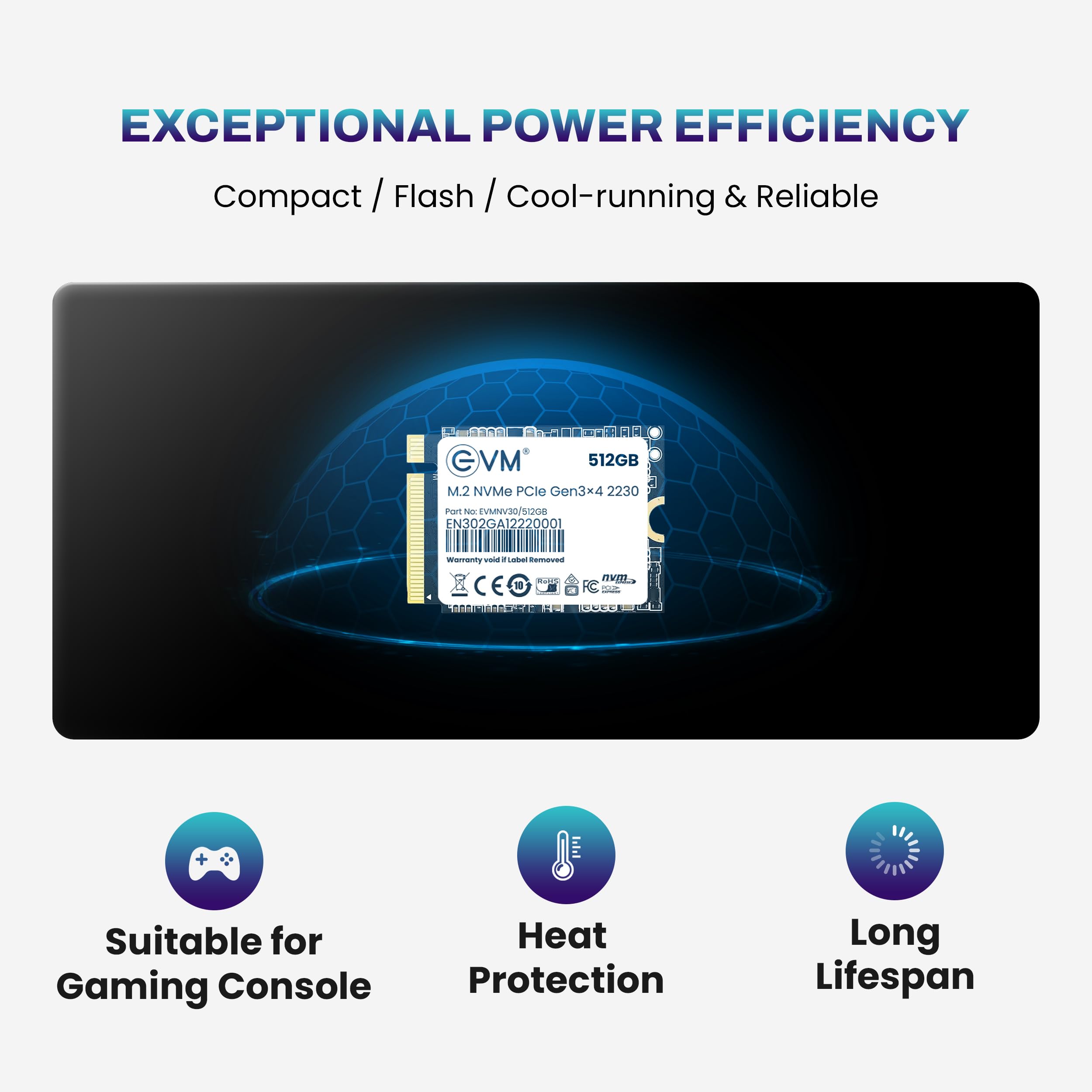 EVM 512GB M.2 NVMe (2230) Internal SSD