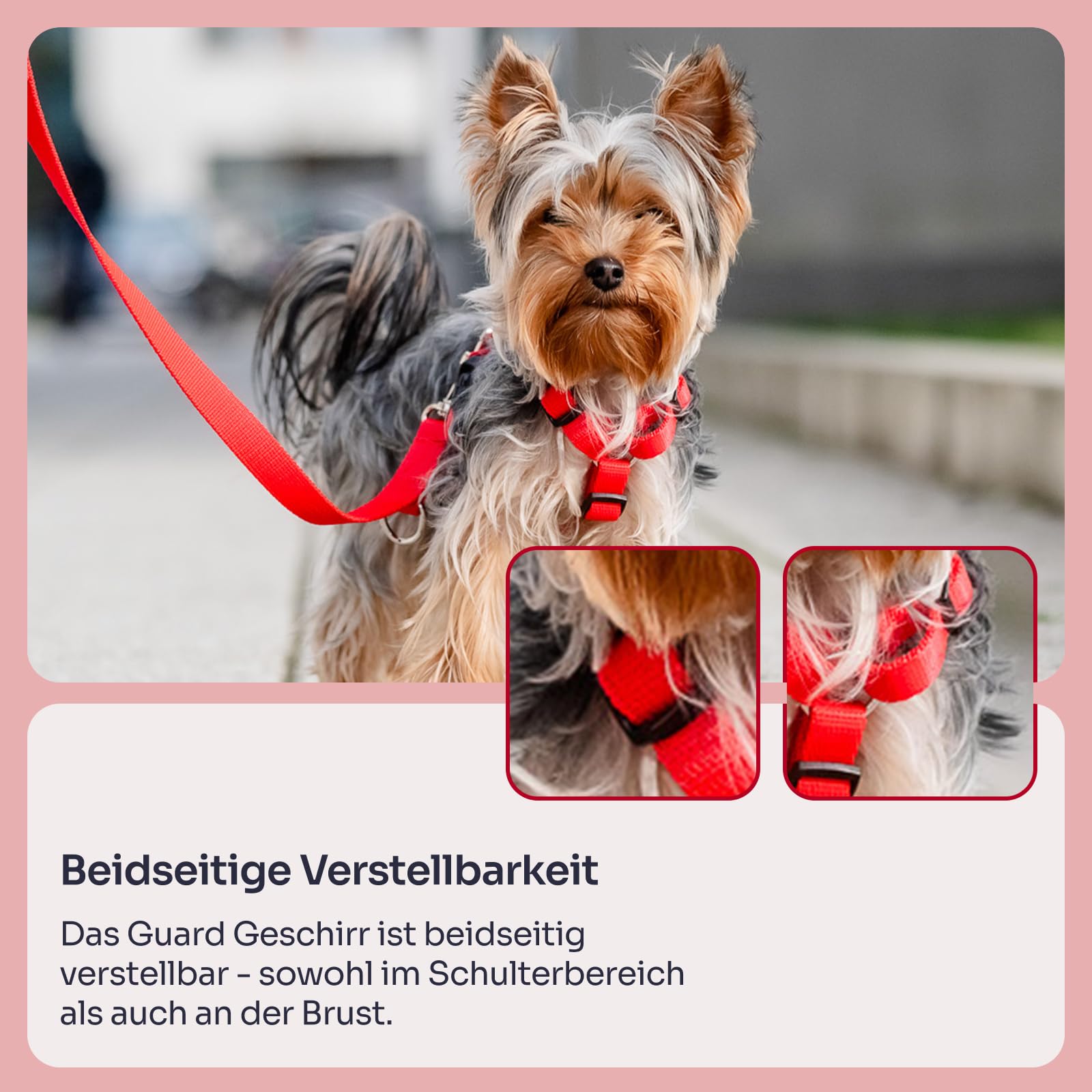Chaba Guard Hundegeschirr für kleine und mittelgroße Hunde mit Kontrolle, Anti-Zug & Würgen, Verstellbar, Bequem und Leicht, Classic Step-in Brustgeschirr, Dog Harness, Größe M, ROT