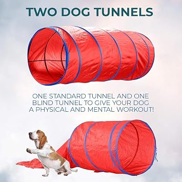 Dog Agility Training Equipment, Dog Agility Course Backyard Set, Dog Obstacle Course Backyard Starter Kit with Play Tunnel, Adjustable High Hurdle, Pet Outdoor Game for Indoor Outdoor Use