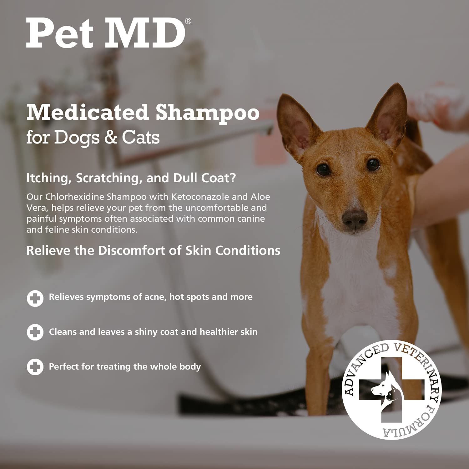 Pet MD Medicated Shampoo for Dogs, Cats and Horses with Chlorhexidine
