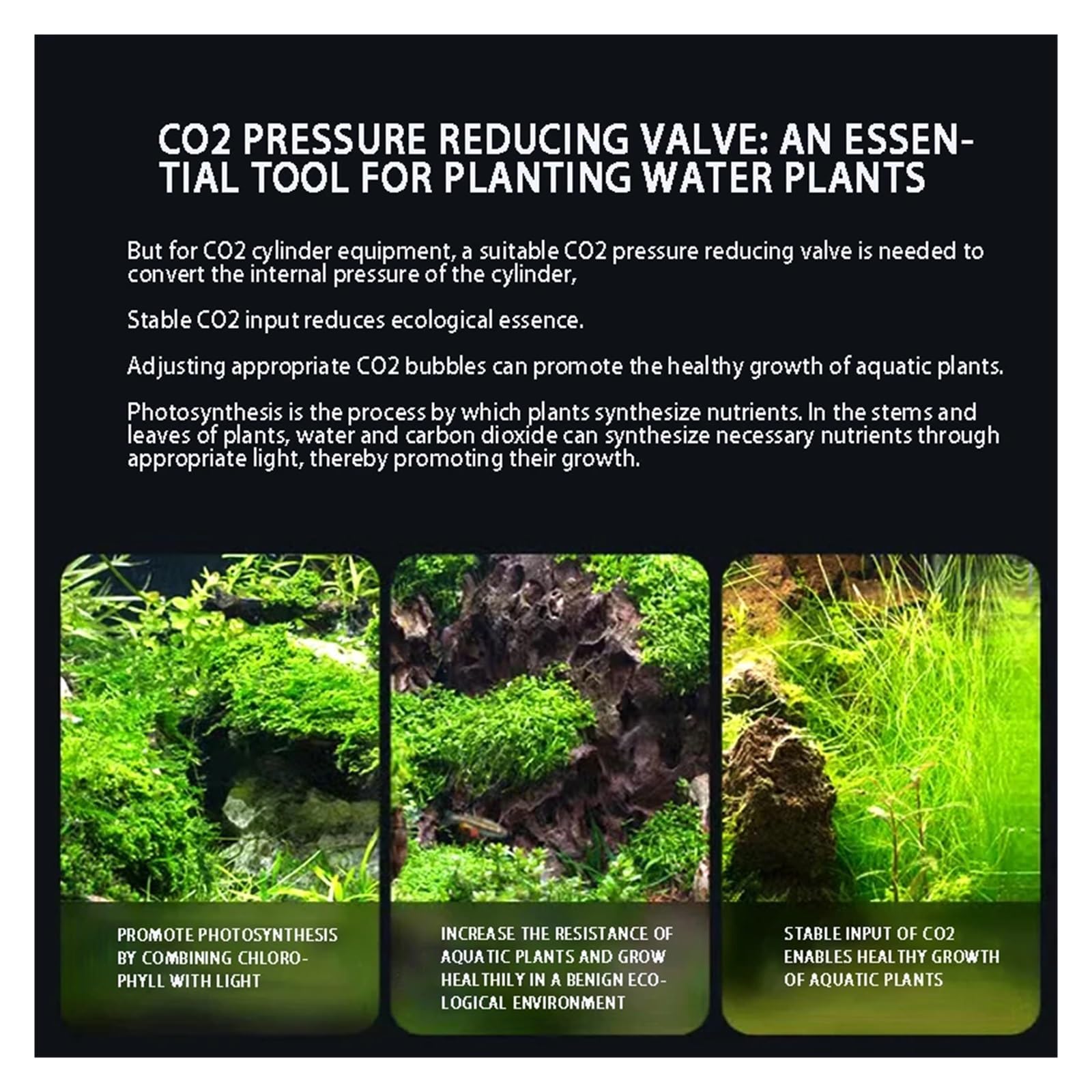 Válvula Reductora de co2 DIY for Acuario, medidor Burbujas Doble Salida, Control Tanque, válvula reguladora(G3-4)