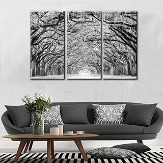 TUMOVO 3 Panels Black White Tree Canvas Wall Art - Oak Trees are Draped with Spanish Moss Landscape Canvas Pictures for Wa...