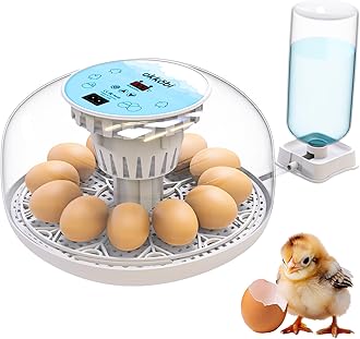 Okkobi M12 | Egg Incubator with Automatic Egg Turning and Humidity Control - 12/24 Eggs, 360° View, Easy to Use and Clean - Egg Incubators for Hatching Eggs - Incubadora de Huevos de Gallina