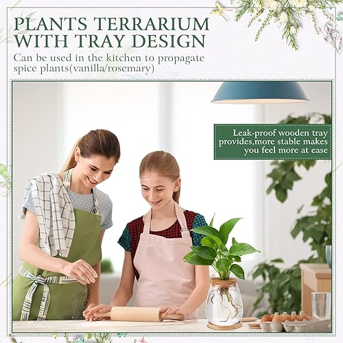 Miniatura 7 de 4 piezas de plantas de escritorio de terrario de propagación de plantas de propagación, jarrón de propagación, tarros de propagación, contenedores