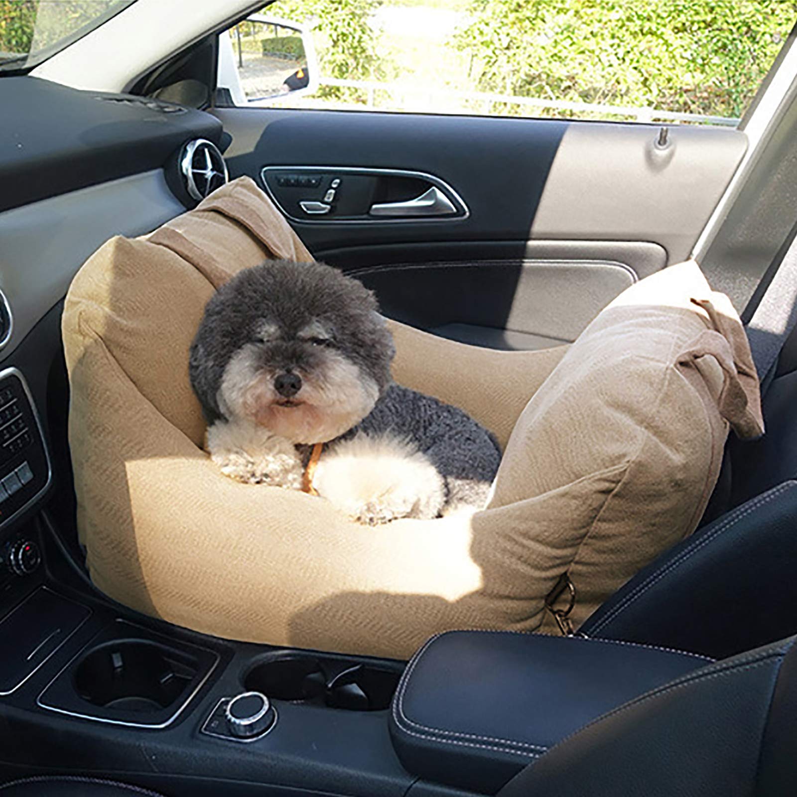 Can Dogs Travel In The Front Seat Of A Car