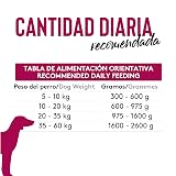 Ver la foto 6