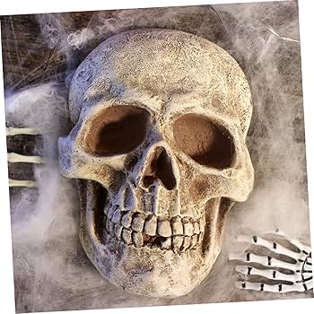 Amazon.co.jp: WRITWAA 頭蓋骨の装飾品 スカルウォールアート