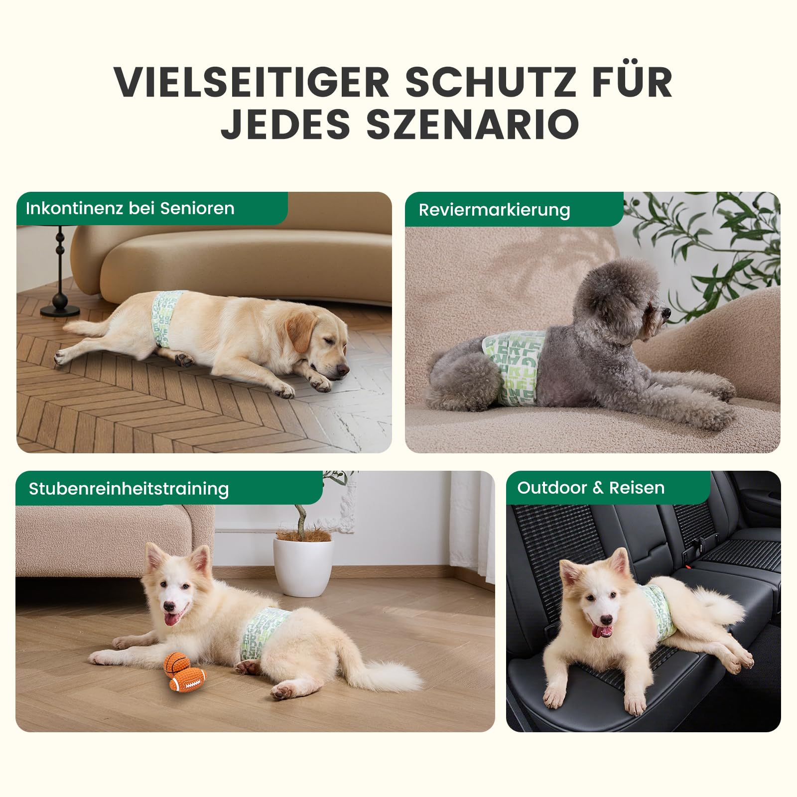 Gardner Pet Einweg-Hundewindeln für Rüden, 50 Stück, S | Nässeindikator, 6 Lagen auslaufsicher, Hochsaugfähig, Welpentraining, Markieren, Inkontinenz, Reisen