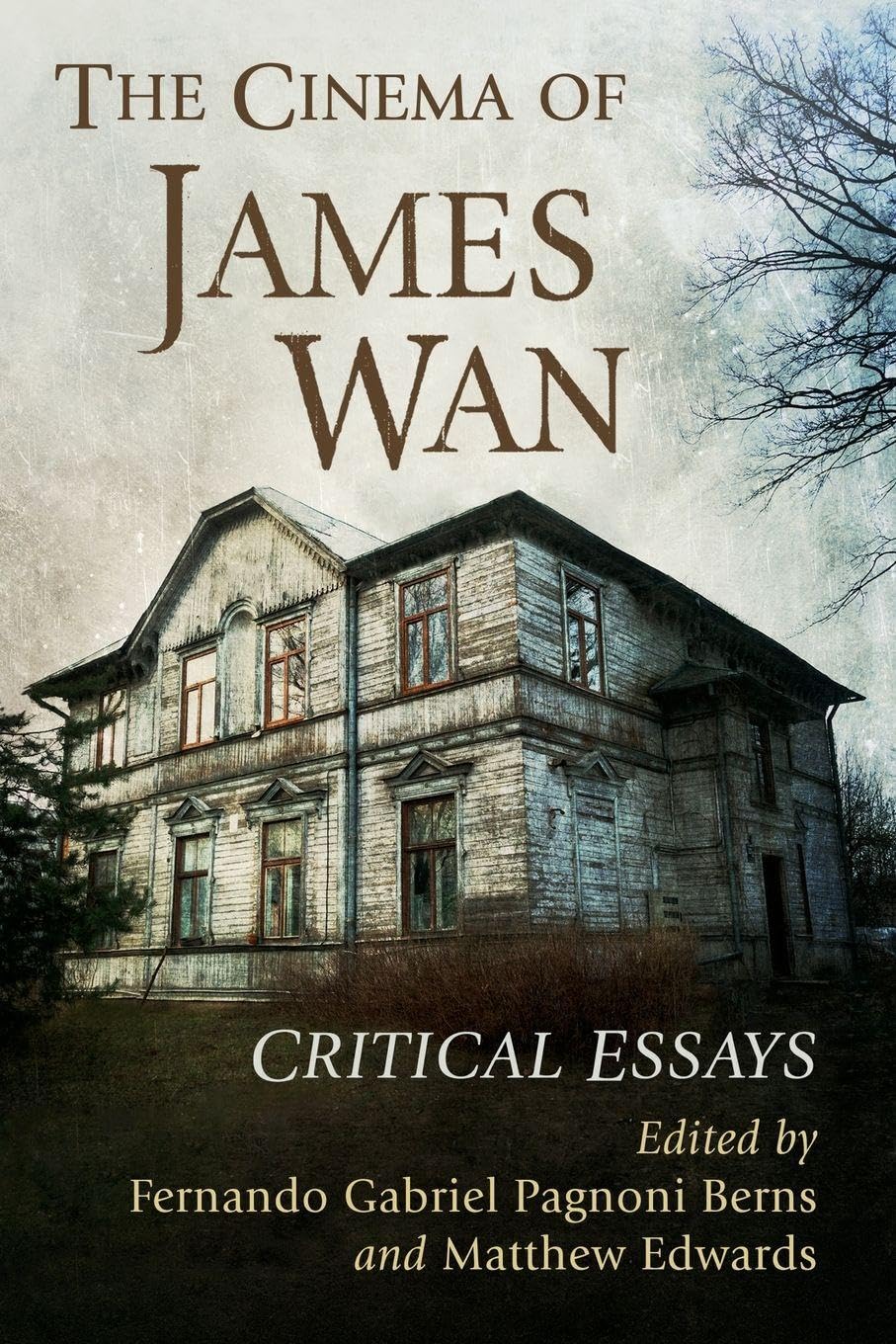 Buy The Cinema of James Wan: Critical Essays โ BookShops.in