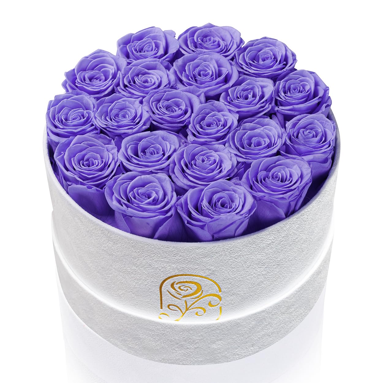 Rosemoir 20-Rose Luxury Velvet Box