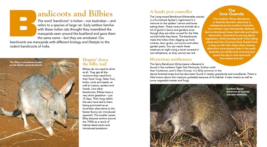Encyclopedia of Australian Animals: Young Reed: Amazon.co.uk