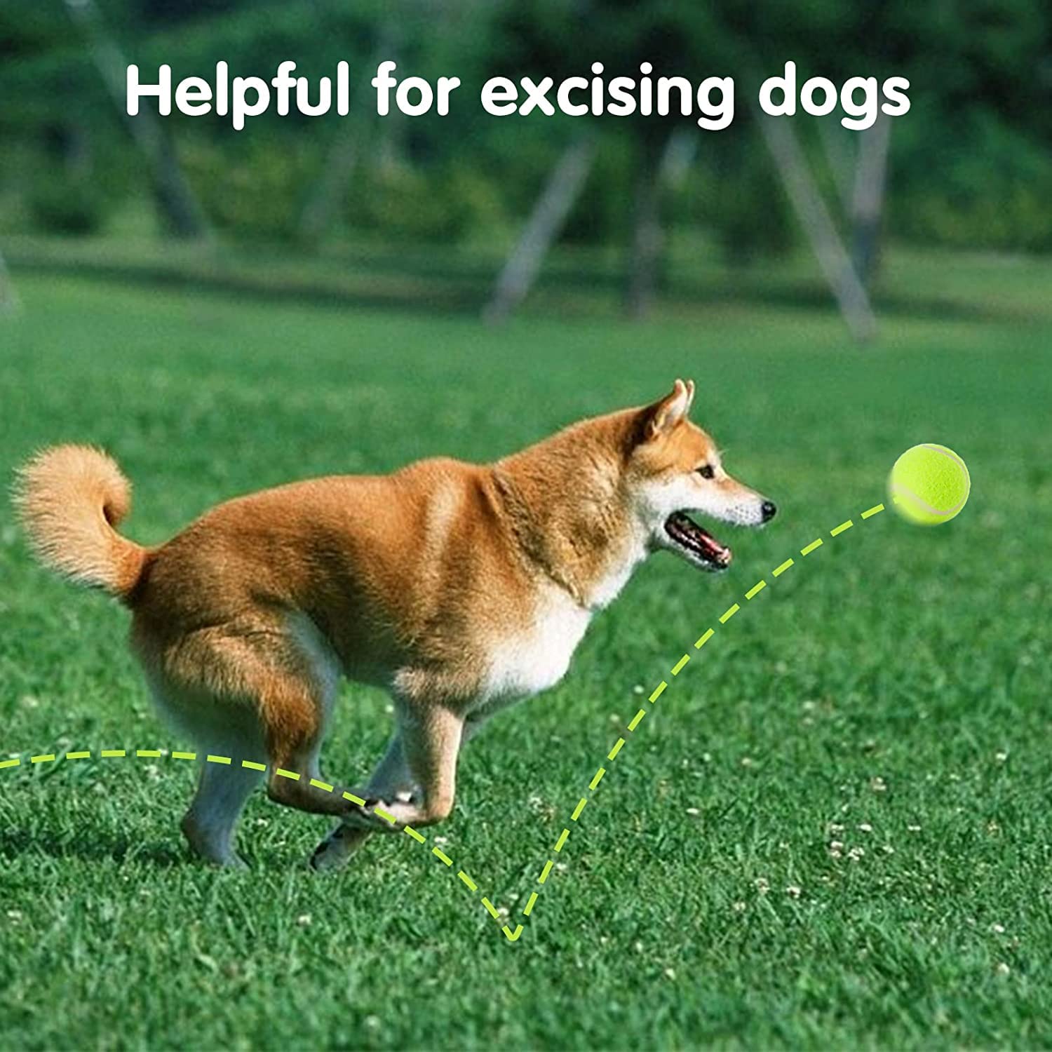 SOCO Pet Toy Balls