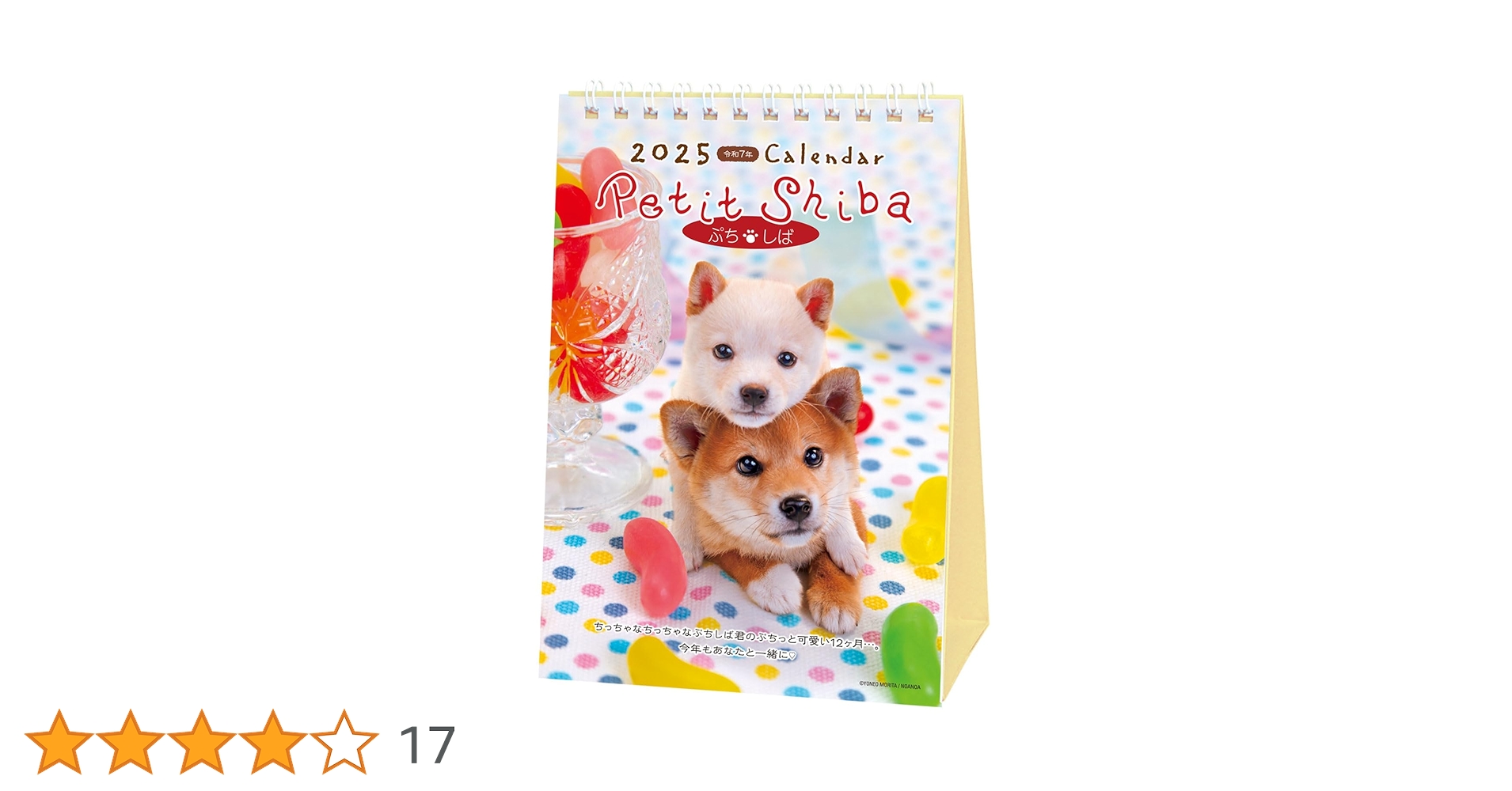 Amazon.co.jp: アクティブコーポレーション 2025年 カレンダー 卓上