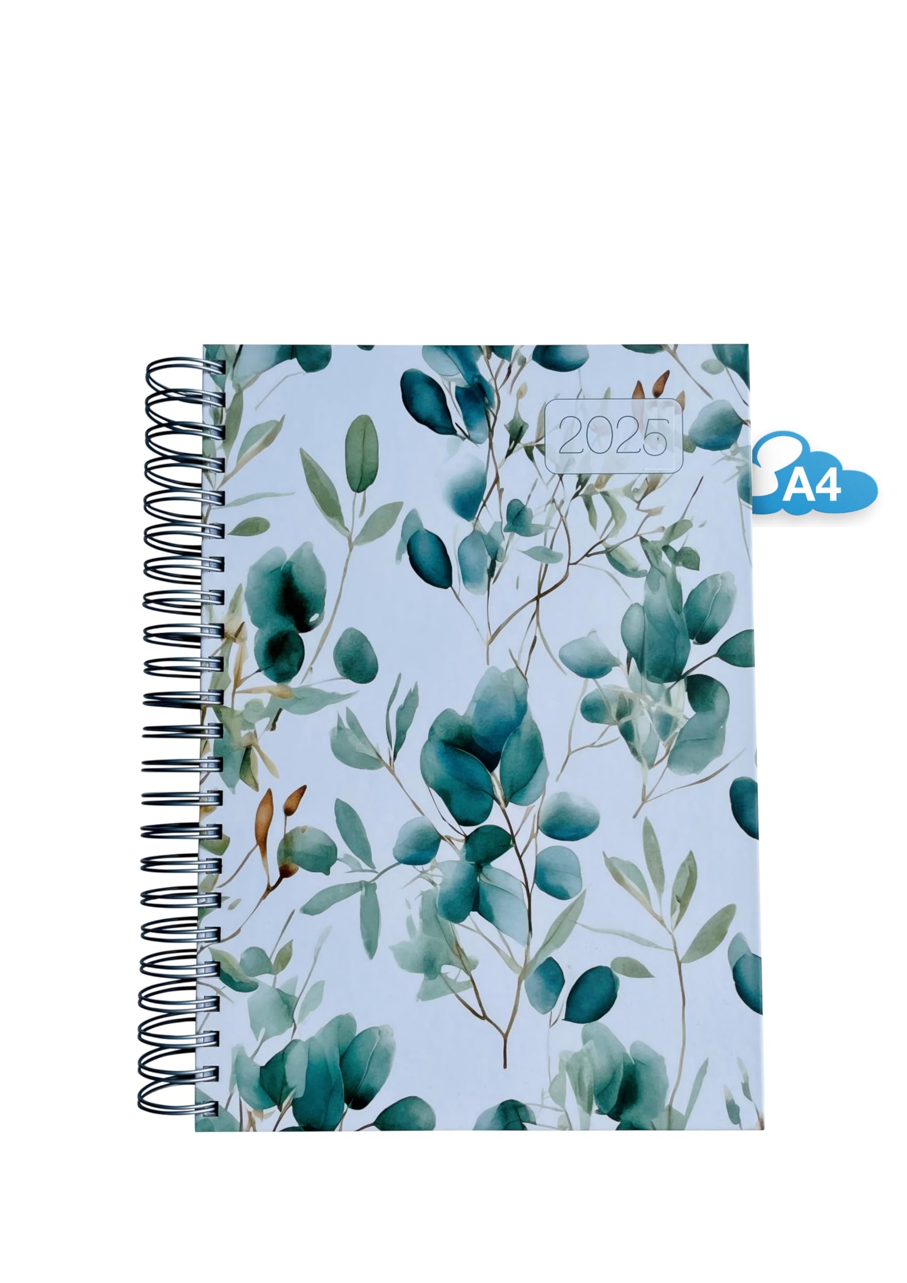 2024 El gran grosor - Calendario DIN A4 en EUCALIPTO (hojas) de edition cumulus - Ideal para la oficina - Encuadernación en espiral - Espacio completo por día A4 - Agenda diaria, XL