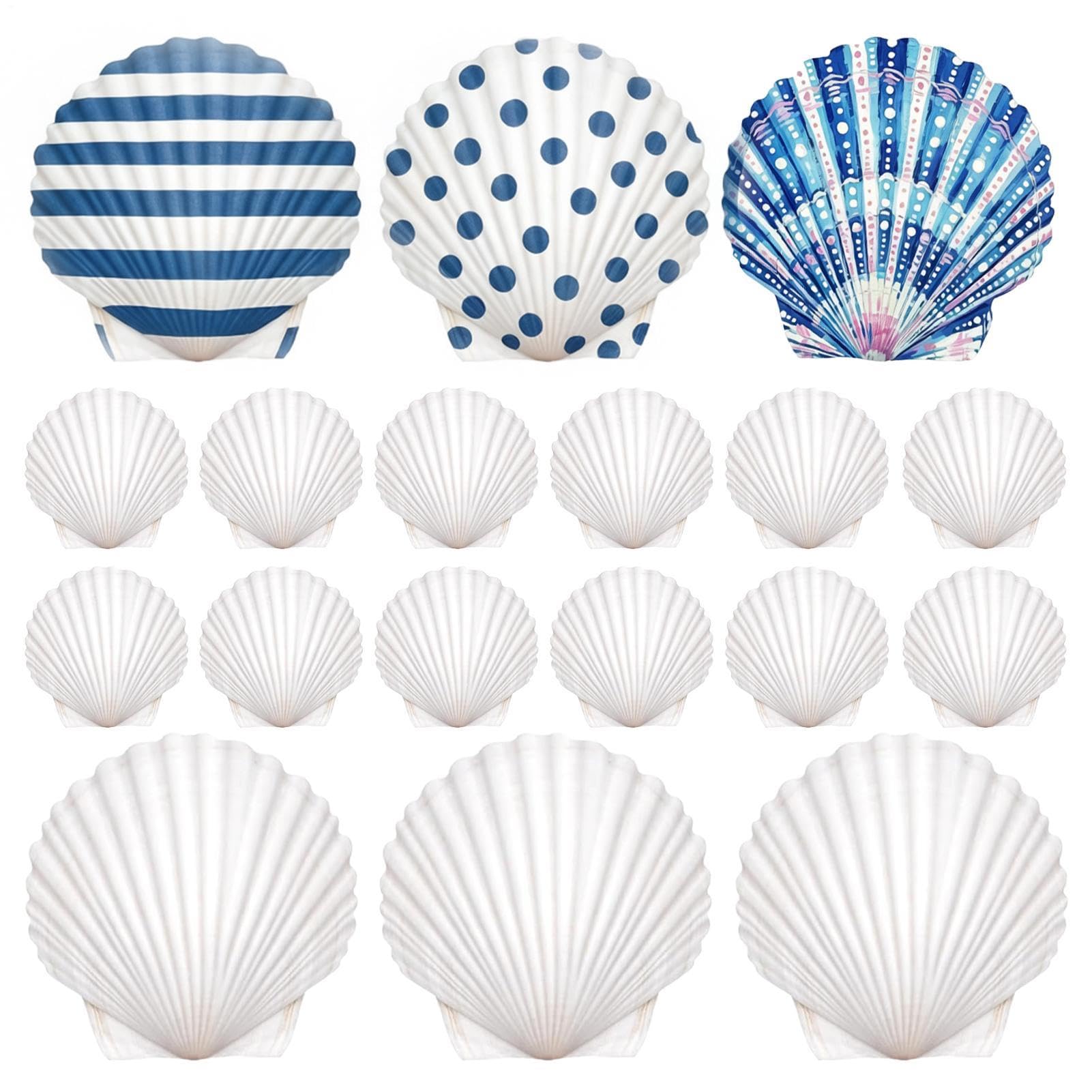 Conchas marinas para manualidades y decoración DIY en salones