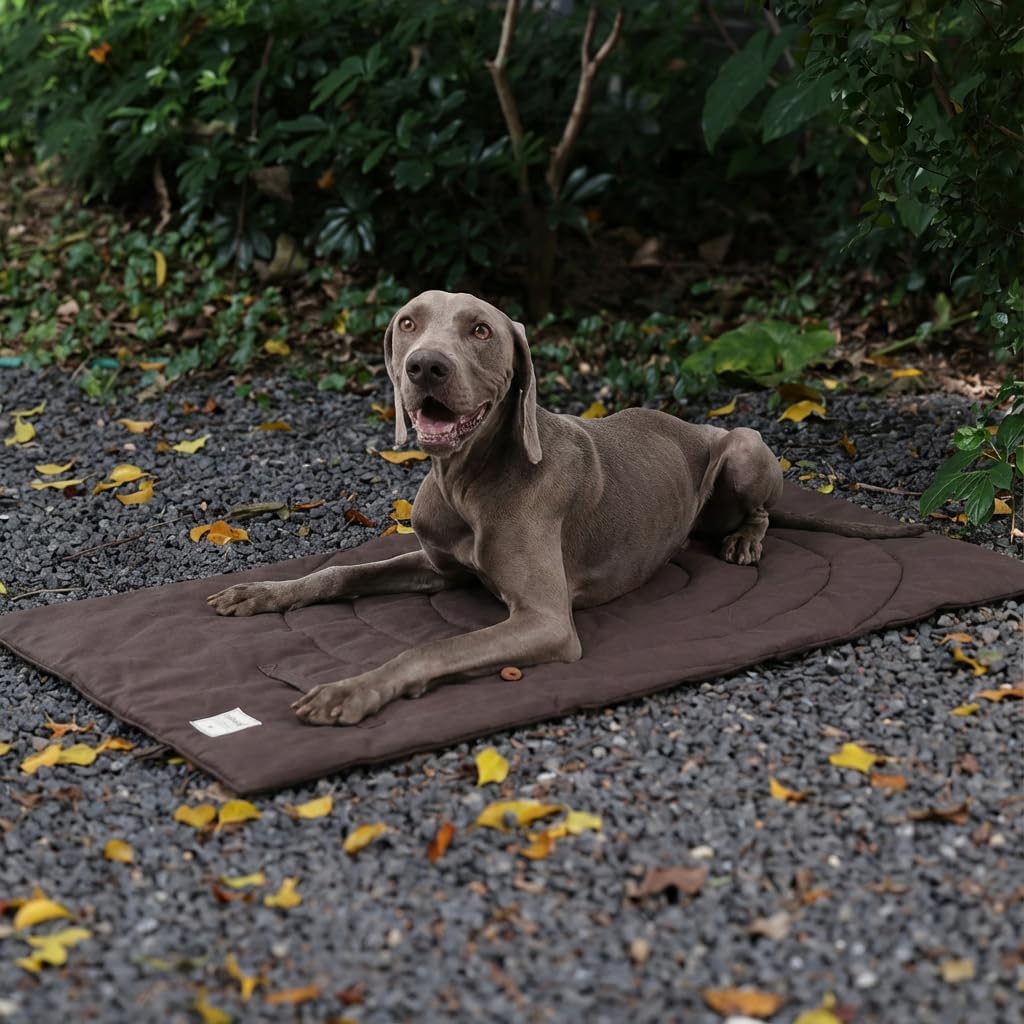 Large Waterproof Outdoor Dog Bed (57"x39"), Portable & Washable Travel Pet Mat for Camping, Foldable Non-Slip Car Seat & Crate Liner for Large Medium Dogs, Includes Carry Bag (Brown)