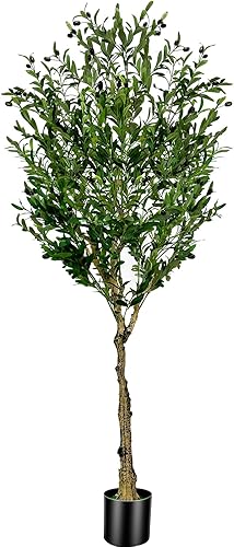 Árbol de olivo artificial de 6 pies, olivo sintético para interiores con hojas de seda realistas, tronco, frutos, olivo falso en maceta para