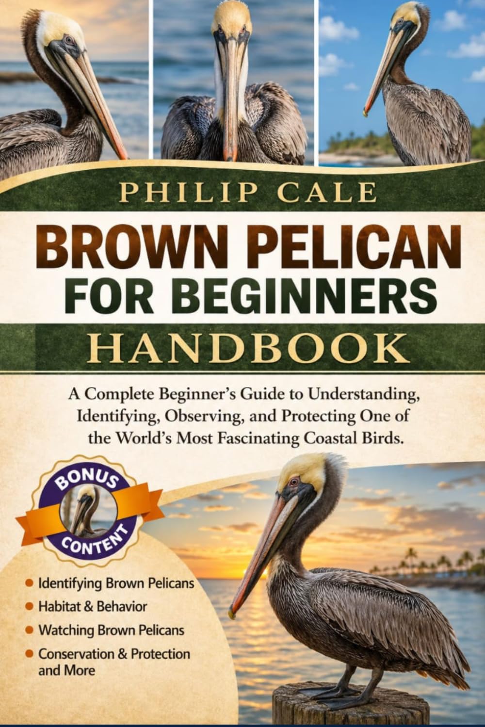 BROWN PELICAN FOR BEGINNERS: A Complete Beginner’s Guide to Understanding, Identifying, Observing, and Protecting One of the World’s Most Fascinating Coastal Birds.