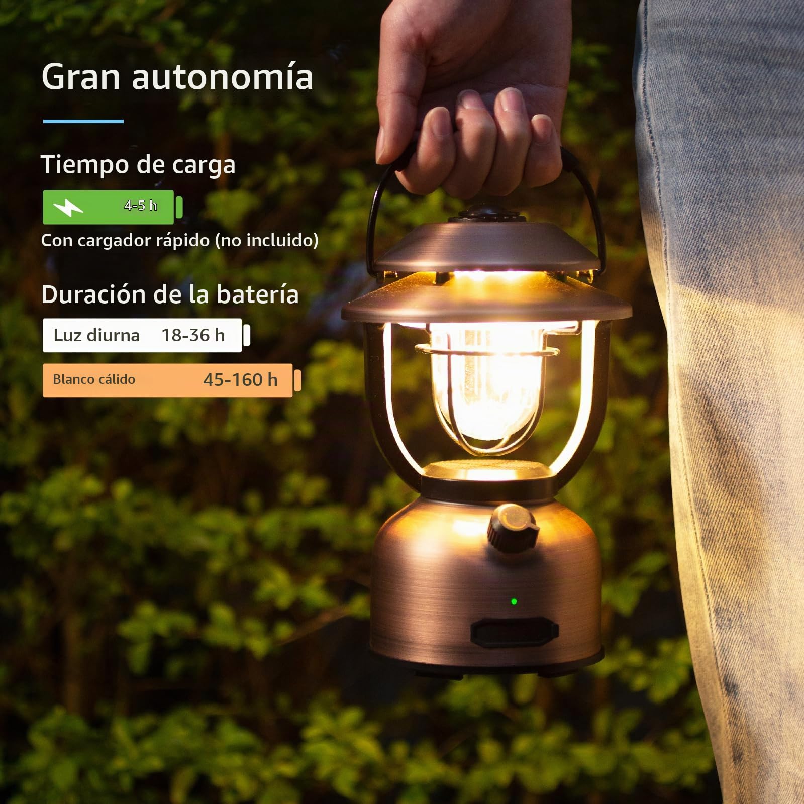 Lepro Linterna de Cámping Recargable Retro 1000 LM | Regulable, 2500K Blanco Cálido y 5000K Blanco Frío para Cámping y Picnic, Iluminación Interior y Decorativa, Emergencias