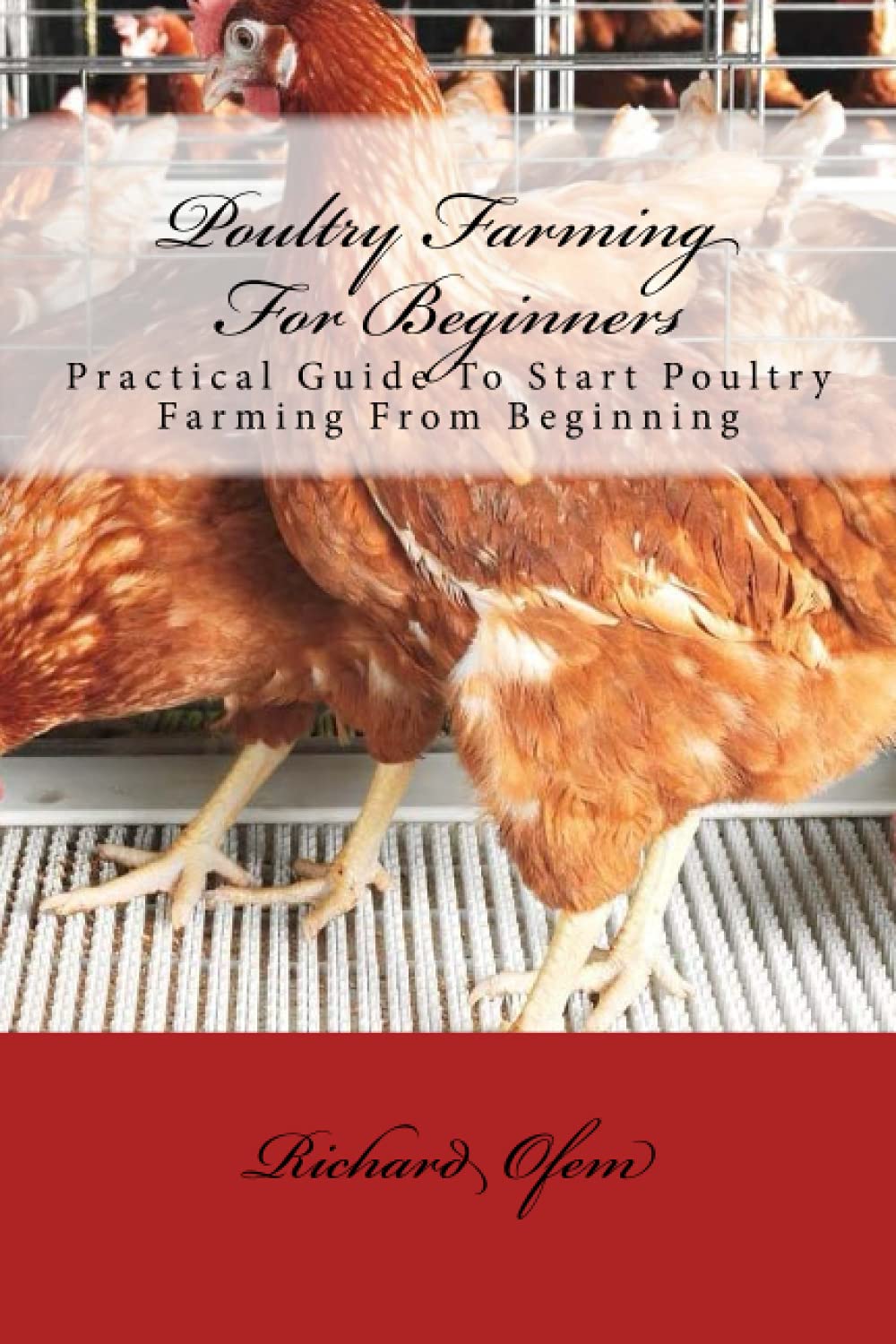 Poultry Farming for Beginners: Practical Guide To Start Poultry Farming From Beginning
