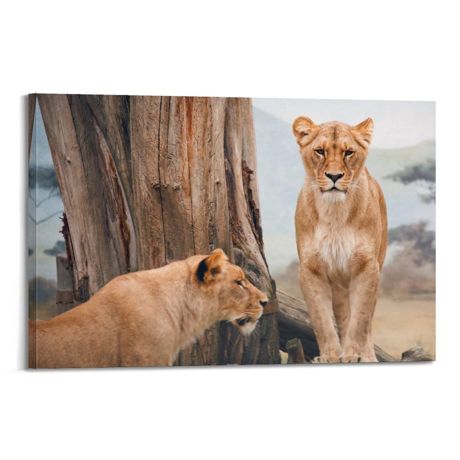 JTLFXY Animal Poster Lion And Lioness Poster Decorative Painting Canvas Wall Posters And Art Picture Print Modern Family Bedroom Decor Posters 20x30inch(50x75cm)