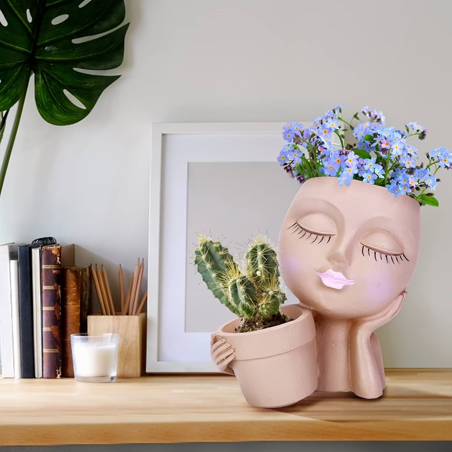 顔型　プランターセット　鉢　花瓶　多肉植物　観葉植物　おしゃれ　ガーデニング Amazon.co.jp: 家庭菜園 セット マルチフェイス多肉植物