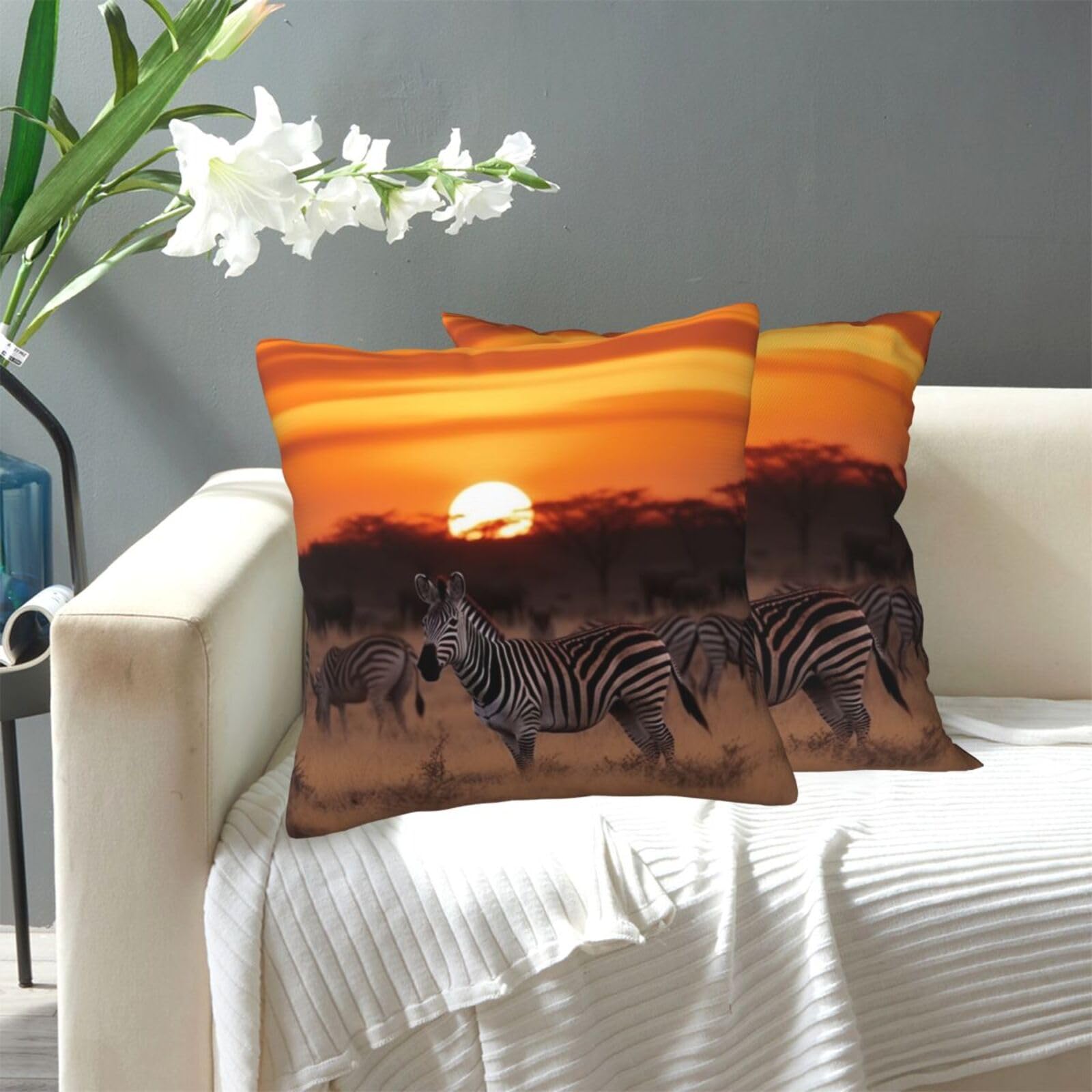 FekiLoot Decorative Throw Pillow Covers Modern Farmhouse Pillowcase Double Sided Cozy Cushion Cover for Sofa Couch Bed 18"X18" Africa Sunset Zebra