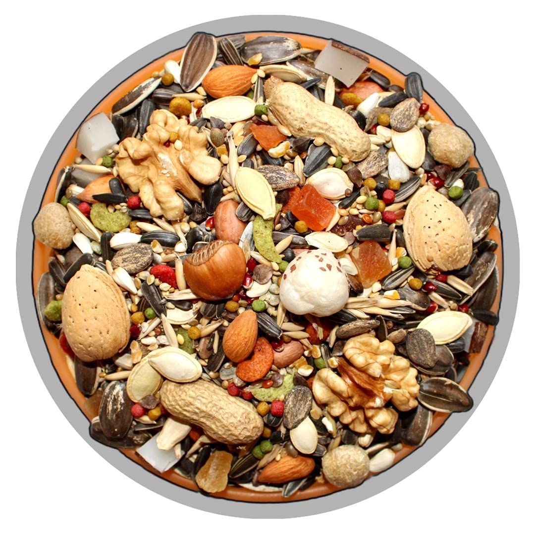 Ps Reseller The LINE Bird Mix Big Parrot Food 34 Types of Seed for Adult Macaw, Cockatoo, African Gray, Indian Parrot & Other Big Birds (500 GM) (B094T5TJS4) Amazon Price History, Amazon Price Tracker