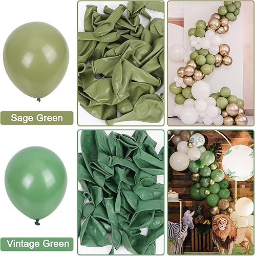 Miniatura 7 de RUBFAC 129 globos de látex verde salvia, diferentes tamaños, 18, 12, 10, 5 pulgadas, kit de globos de fiesta verde oliva para fiesta de cumpleaños,