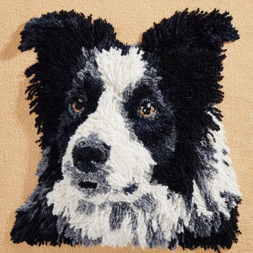 Taxpy Latch Hook Cushion Kits Border Collie 17X17 Inch