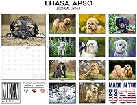 Vista 1171 de Razas de Perros 2017