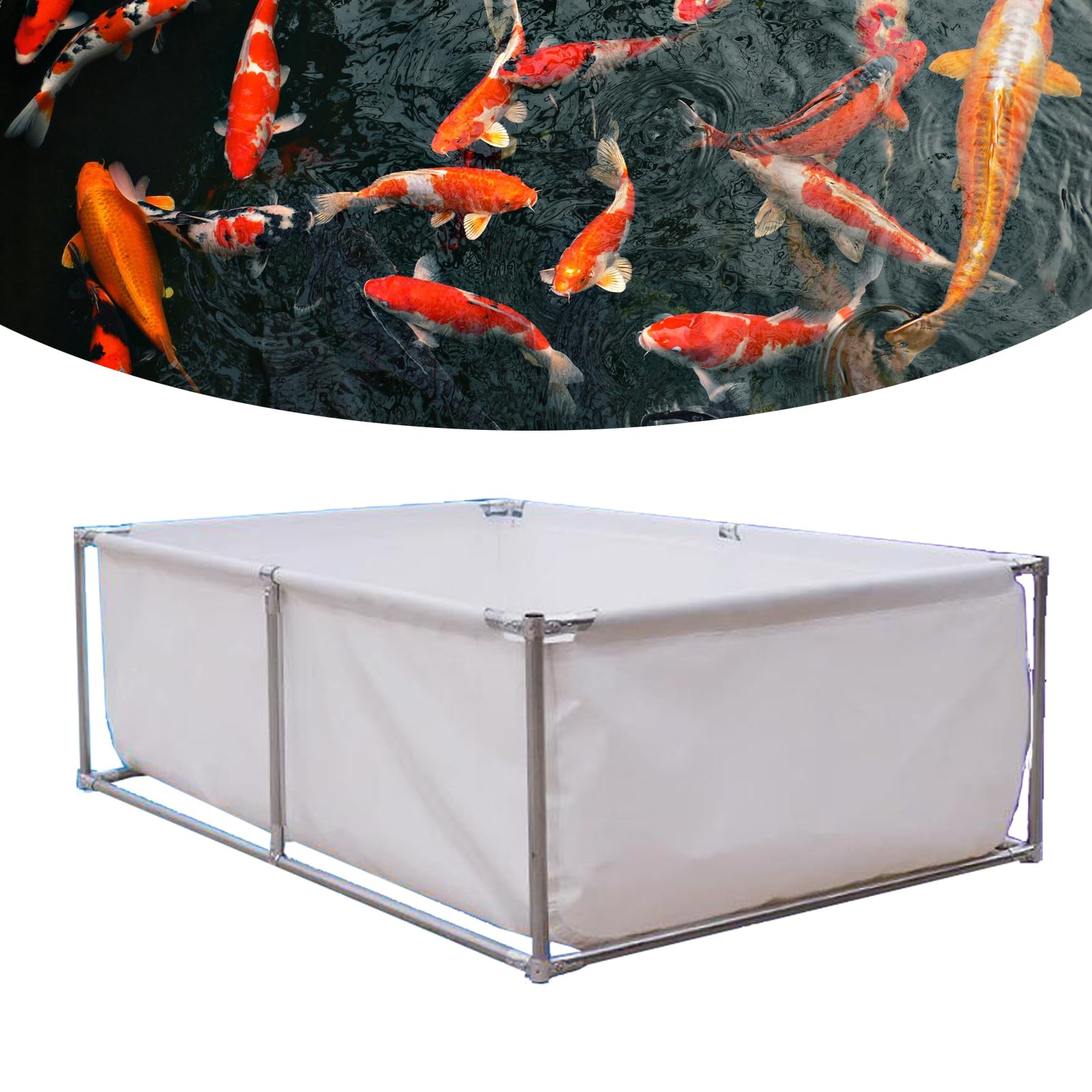 Bassin à poissons hors-sol en acier durable pour sécuriser l'élevage de crevettes