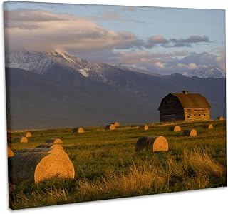 3dRose, Old barn, hay bales, Mission Mountain Range, Montana - US27 CHA1113 - Chuck Haney, Museum Grade Canvas Wrap 14x11