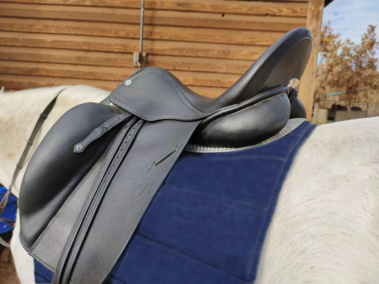 Almohadilla de Gel Antideslizante para sillín de Caballo, Almohadilla de Gel para Montar de Caballo.