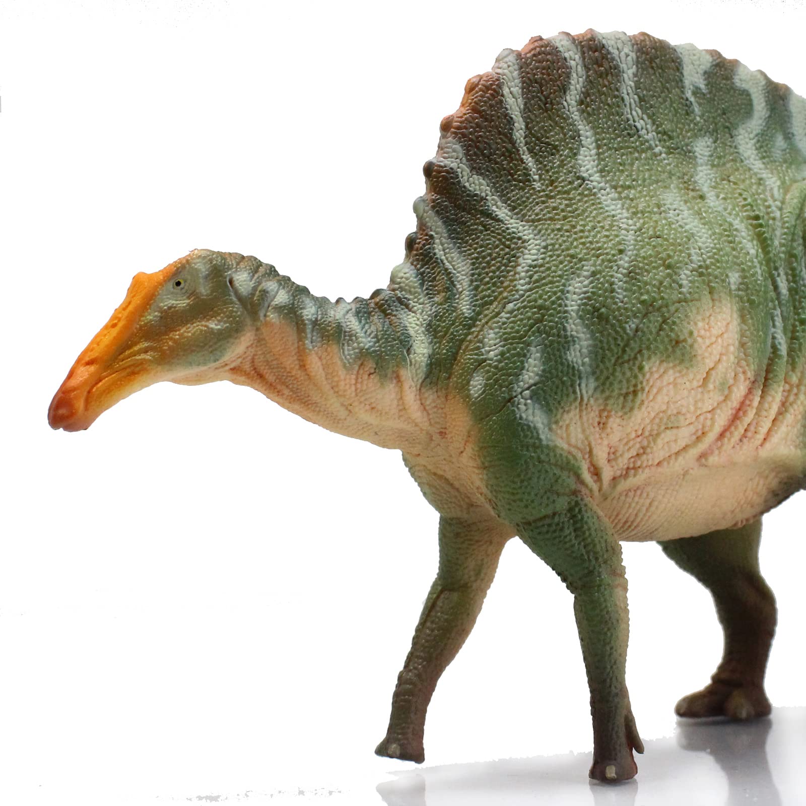 AMITD Ouranosaurus (verde)