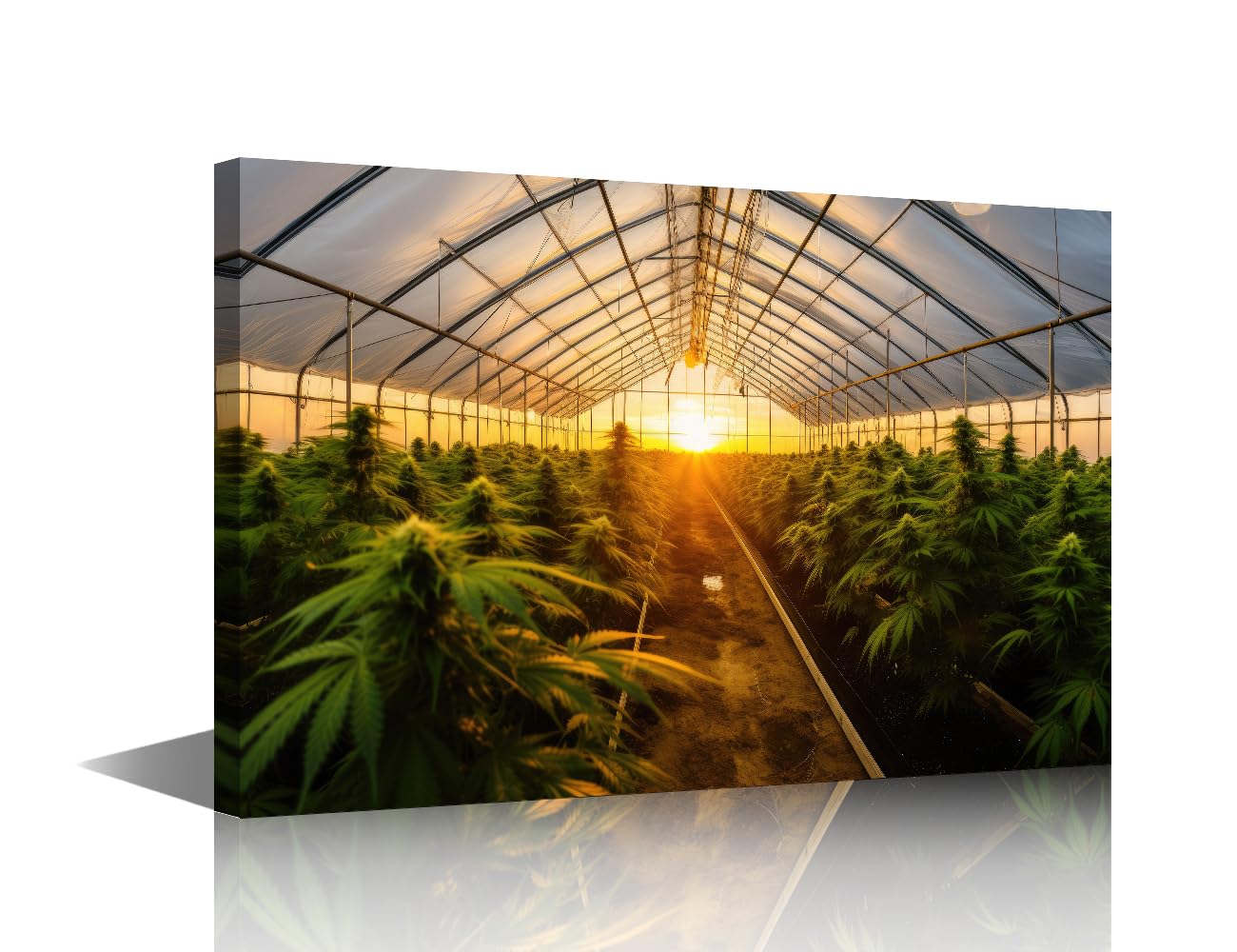 TISHIRON ‌Canvas Wall Art Greenhouse Cannabis Cultivation Framed Print Horticultural Science Artwork Modern Farmhouse Decor Wall Art Ready to Hang 18x12 in