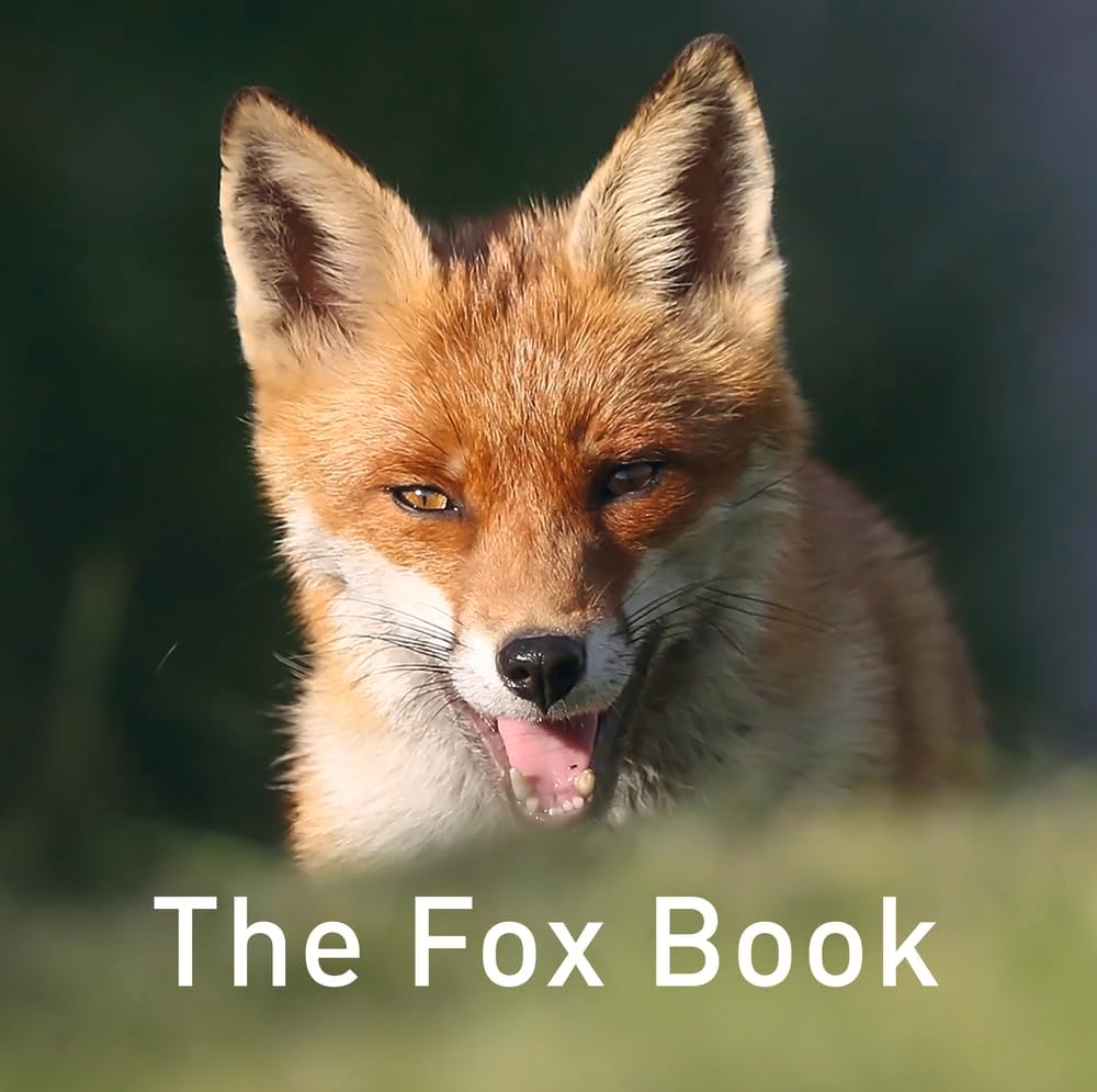 Sponsored Ad – The Fox Book (Nature Book)