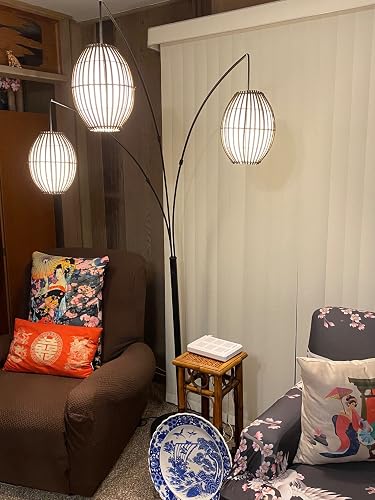 Review Image by Amazon Customer
