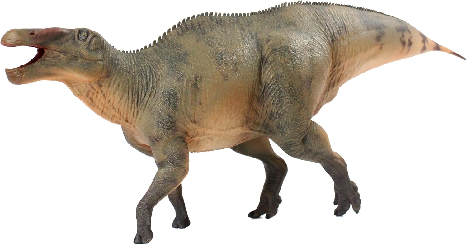 New Shantungosaurus 1：35 Science and Art Model (Shantungosaurus-You Jun Da)
