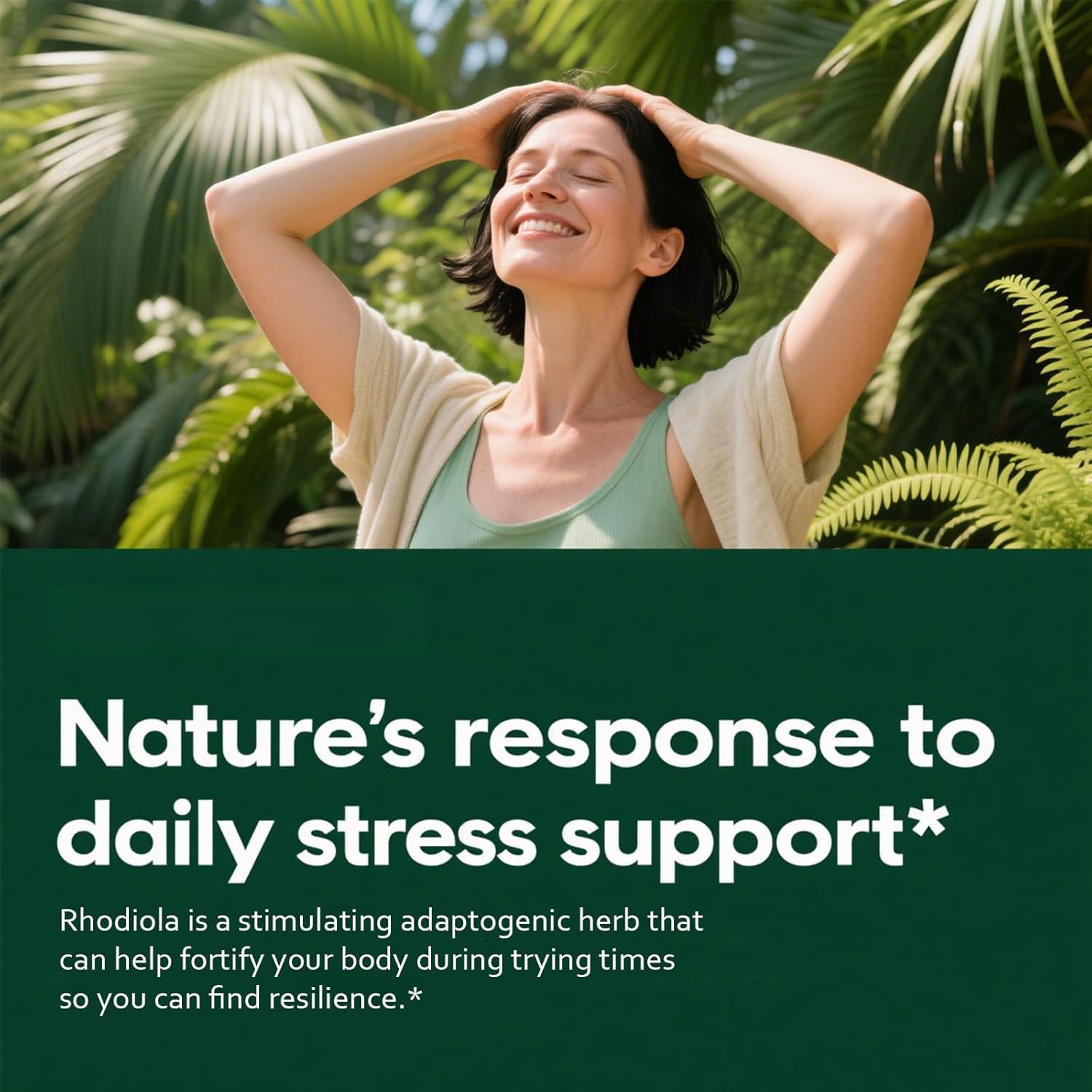 Rhodiola Rosea - Erba adattogena - Supporto per cervello, stress e umore - Miscela naturale - Non OGM