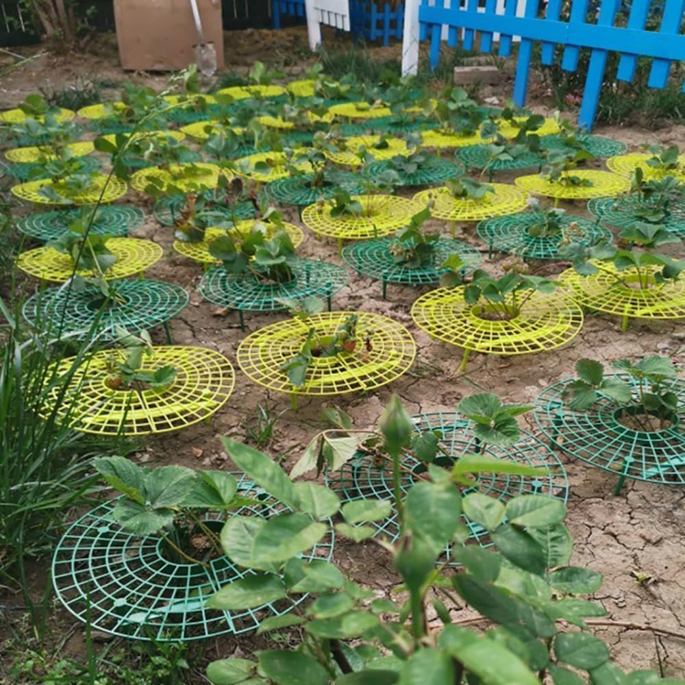 Strawberry Plant Support, Strawberry Supports Strawberry Trellis Strawberry Cages for Garden, Strawberry Growing Racks Strawberry Growing Frame Strawberry Stand Strawberry Holder (15PCS_Green)