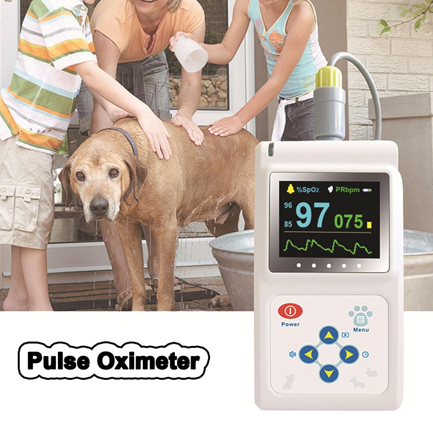 Handheld-Pulsoximeter Für Den Tierärztlichen Gebrauch, Messung Der Sauerstoffsättigung Und Herzfrequenz Von Haustieren, Mit Sonde Und USB-Kabel, Sicher Und Nicht-invasiv, Für Hunde, Katzen