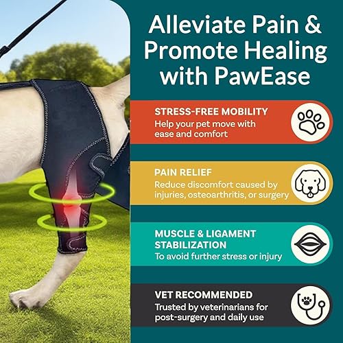 Miniatura 3 de Rodillera ajustable para perro con correa, soporte de pierna trasera para dolor en las articulaciones, recuperación de lesiones de ACL, juego