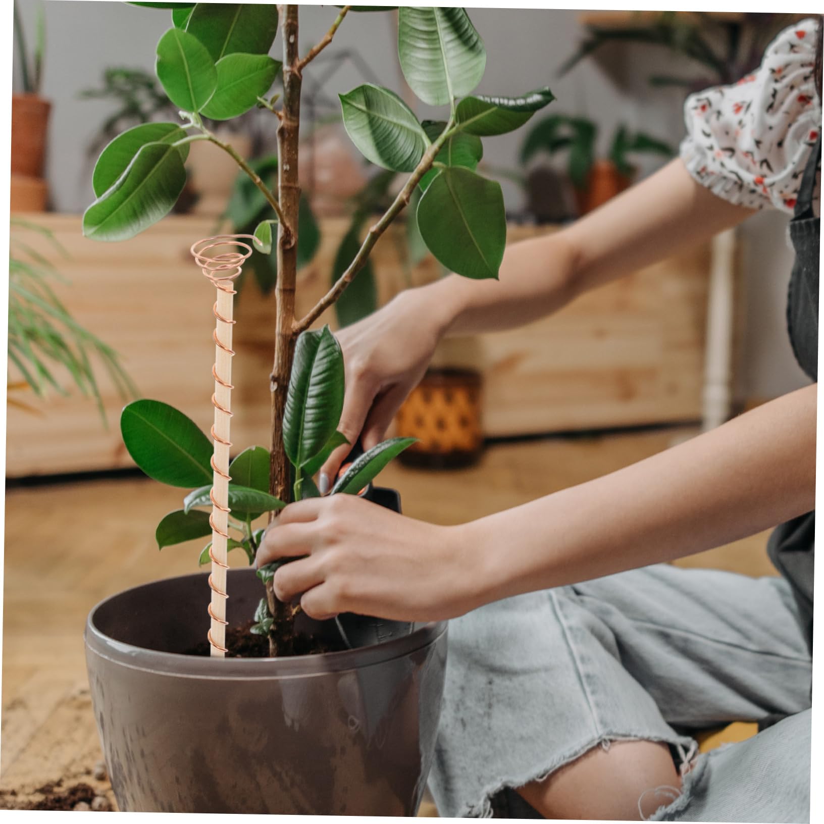 POPETPOP Piquets de Jardin en Fil de Cuivre Pur 9 Pièces avec Outil de Jardinage, Support pour Électroculture, Kit pour Planter et Cultiver Plantes Succulentes et Bonsaïs, Conducteur