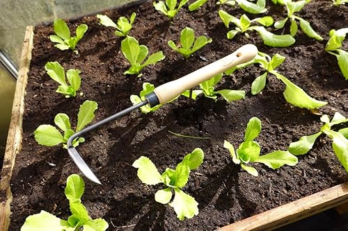 Miniatura 2 de DeWit Desbrozadora con mango de tamaño mediano, herramienta de jardín ligera y duradera con agarre cómodo