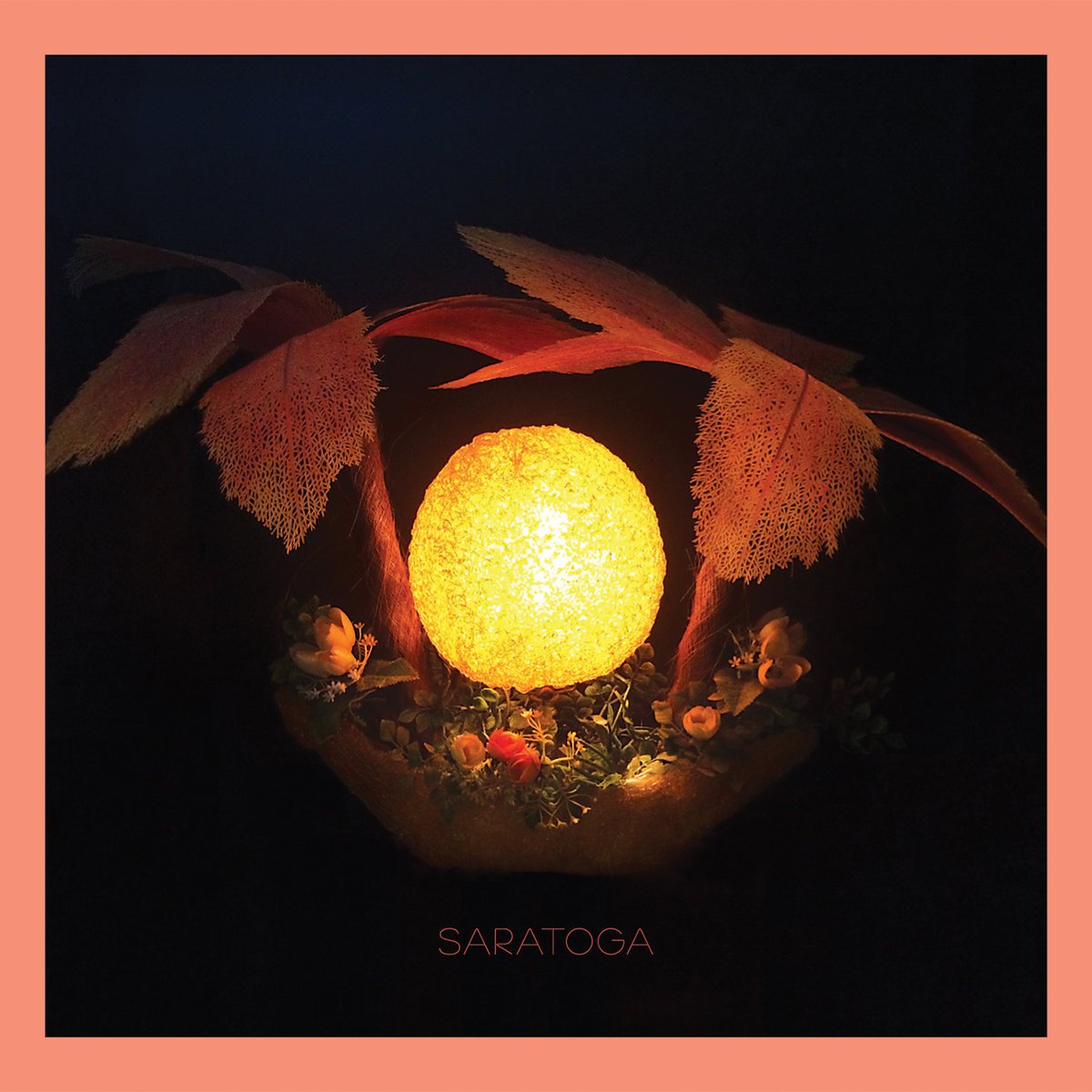 Saratoga [Audio CD] Saratoga