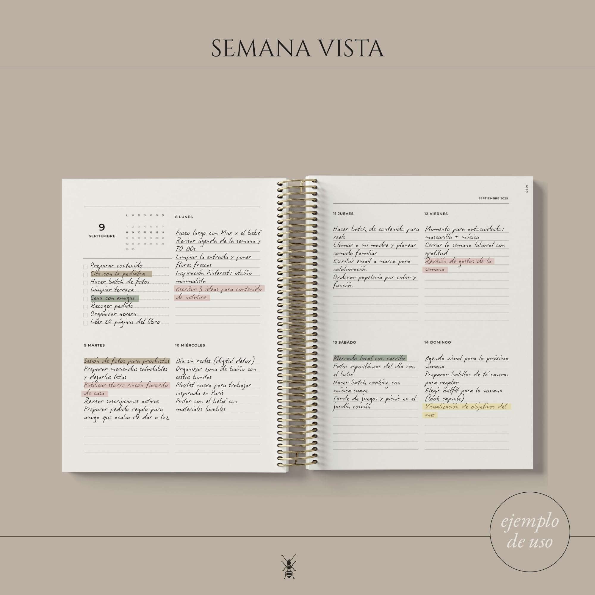 Agenda Académica 2025-2026 | Semana Vista | 290 pág. papel 120 g | Calendario, gastos, viajes, objetivos y notas | 20 × 22 cm (Print Butano)