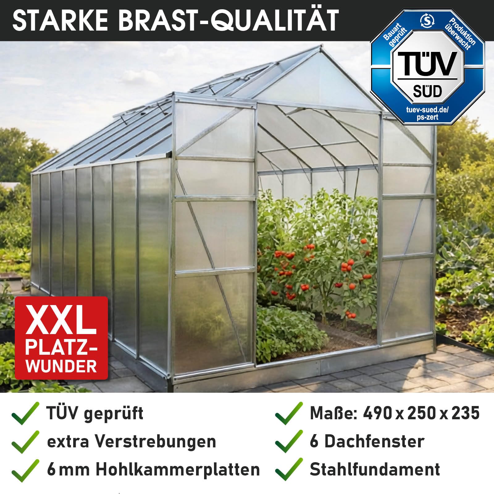 BRAST Gewächshaus Aluminium mit Fundament | 42 Modelle | 130x190x195cm - 490x250x235cm | TÜV geprüft | 6mm Hohlkammerplatten | rostfrei wetterfest temperaturbeständig | 490x250x235cm Silber