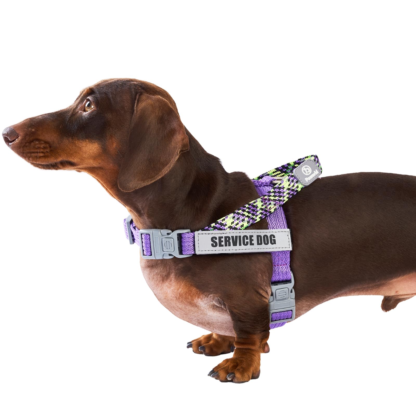 犬 ハーネス 中型犬 Amazon | PAWORLD ハーネス 中型犬 サービス犬ハーネス 犬用ハーネス