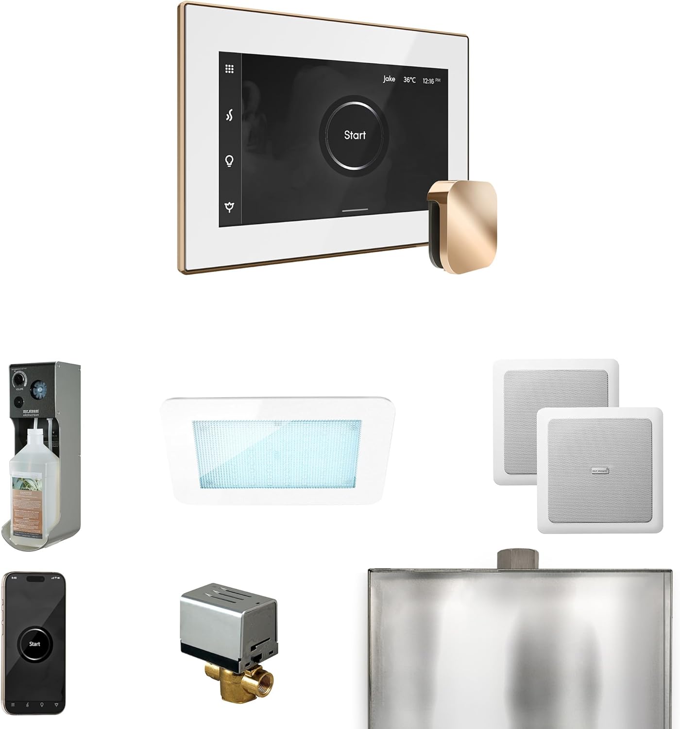 Mr Steam XDream Steam Shower Ctrl Pkg w/iSteamX Control and Steamhead in White Polished Gold